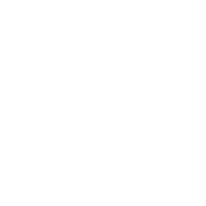 Custom Colour Brantford Embroidery icon