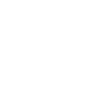 Screen printing Icon - Custom Colour T-Shirts & Apparel